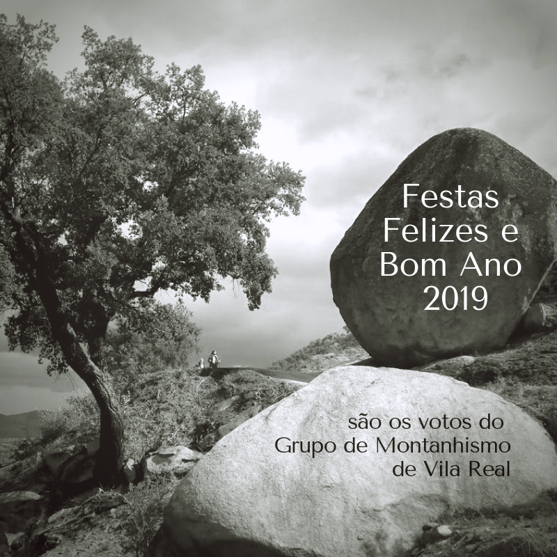 GMVR FESTAS1