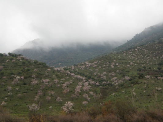 Img 1227985476 250