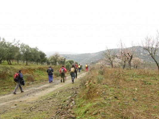 Img 1227985604 850