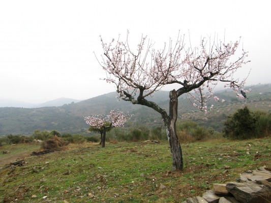 Img 1227985770 434