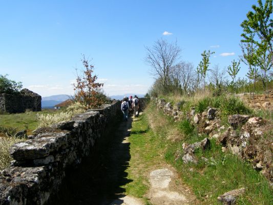 Img 1227950583 150