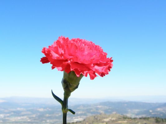 Img 1227951670 123