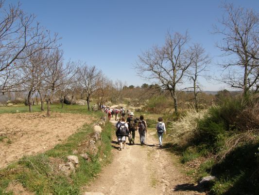Img 1227951873 780