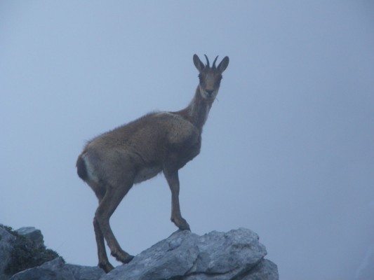 Img 1228170364 750