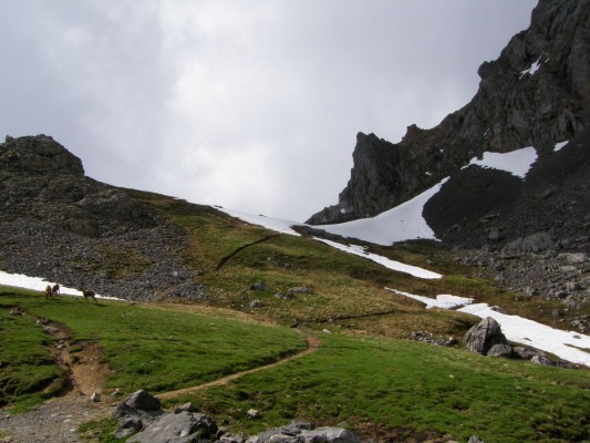 Img 1228170667 267