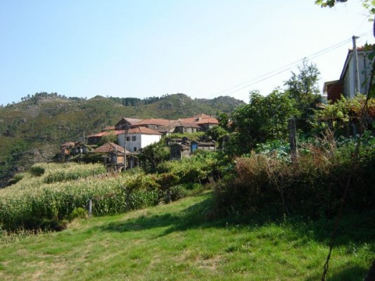 Img 1263730437 980