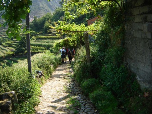Img 1263730442 554
