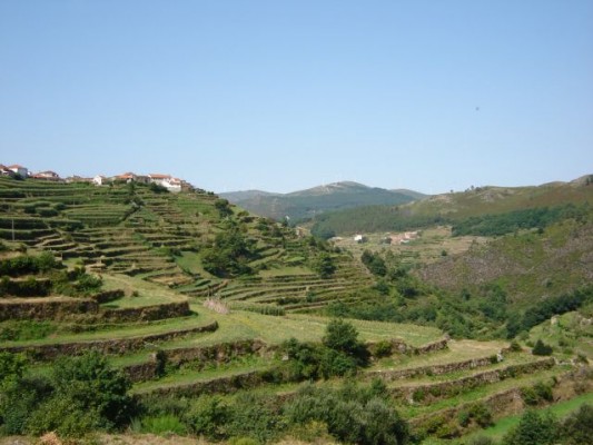 Img 1263730443 819