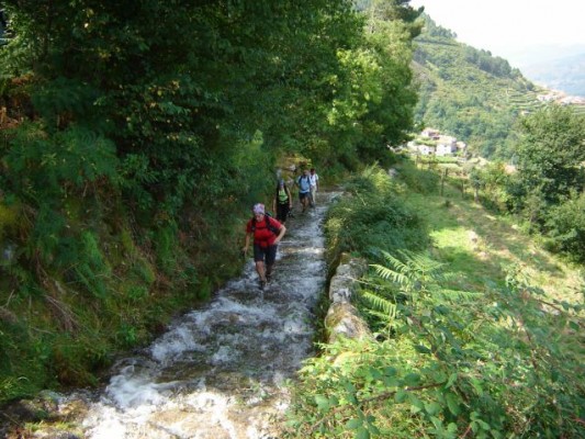 Img 1263730451 616