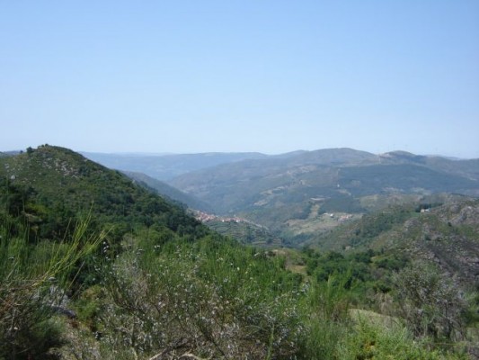 Img 1263730463 186