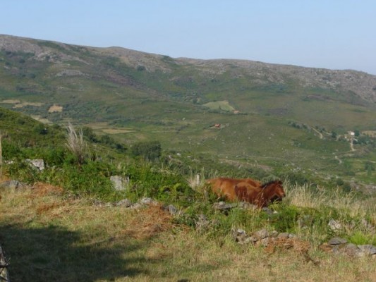Img 1263730491 170