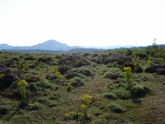 Img 1263730494 227