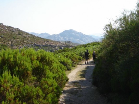 Img 1263730502 402