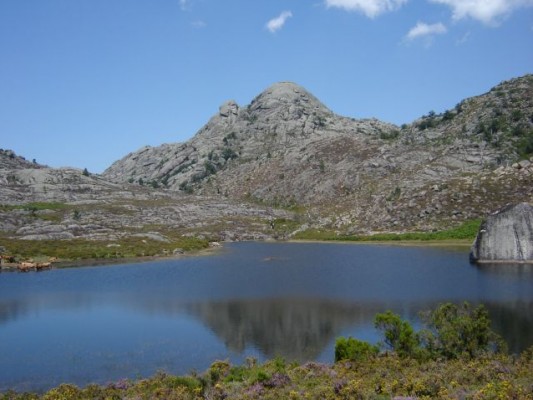 Img 1263730534 890