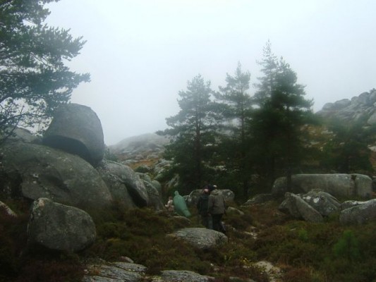 Img 1263680089 308