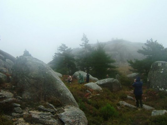 Img 1263680091 602