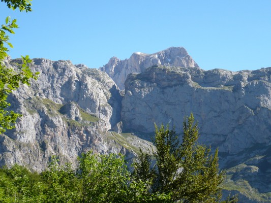 Img 1245621488 984