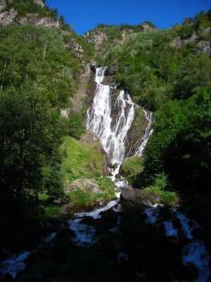 Img 1249682864 427