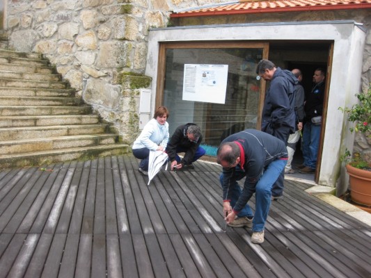 Img 1287952692 345