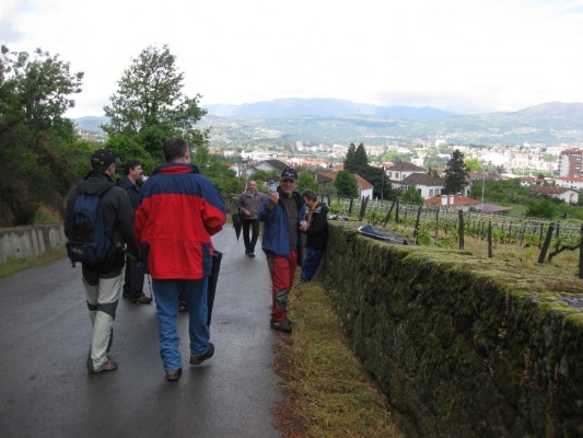Img 1287952975 626