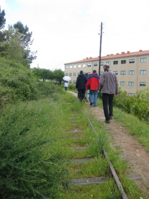 Img 1287952990 627