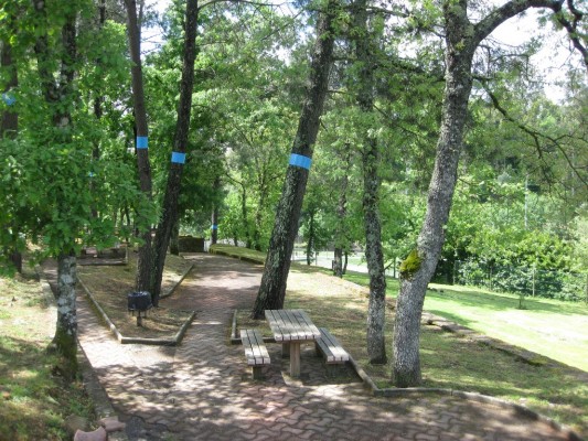 Img 1287953001 345
