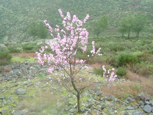 Img 1287949922 631