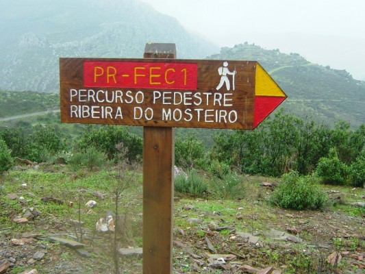 Img 1287949937 540