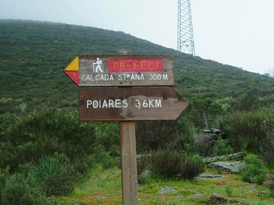 Img 1287949942 612