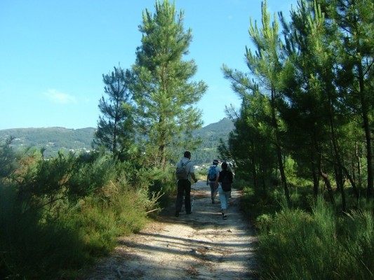 Img 1287950930 107