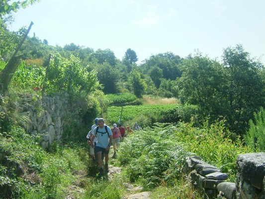 Img 1287950971 394
