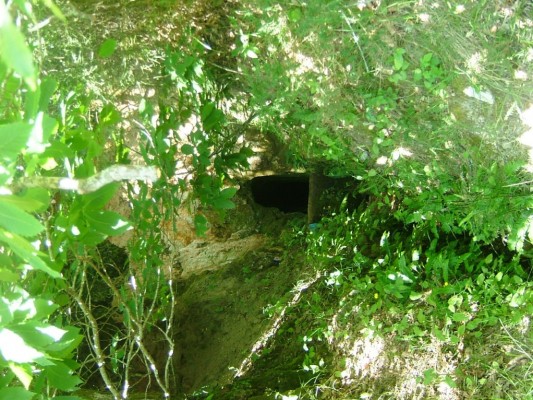 Img 1287951040 759