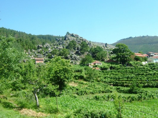 Img 1287951046 56