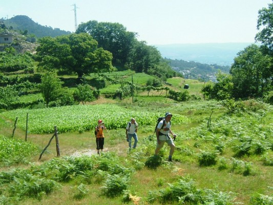 Img 1287951051 191