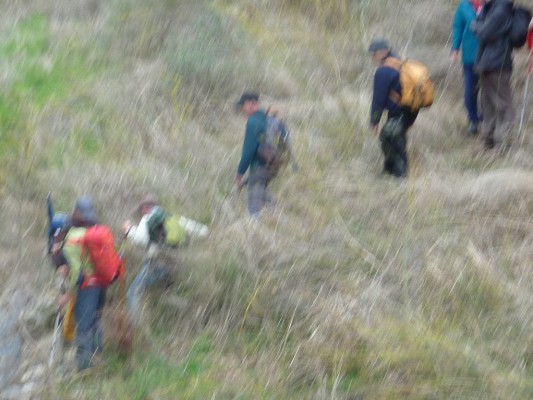Img 1289146329 94