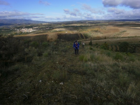 Img 1289146583 56