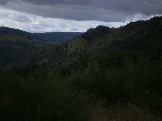 Img 1289146615 386