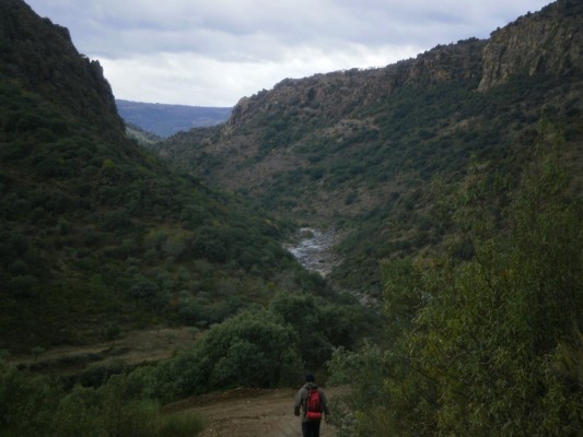 Img 1289146620 704