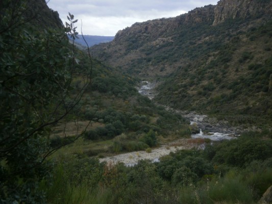 Img 1289146625 617