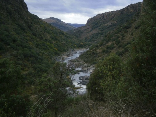 Img 1289146630 146