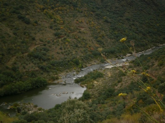 Img 1289146650 590