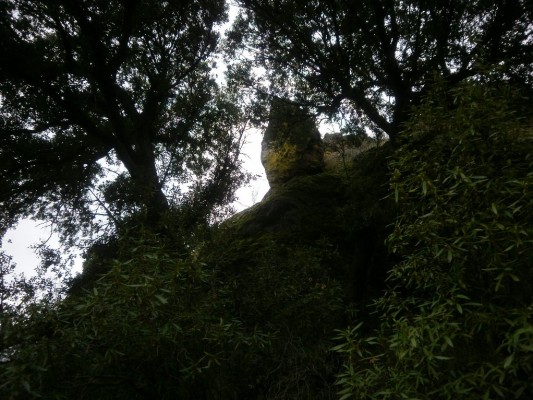 Img 1289146682 587