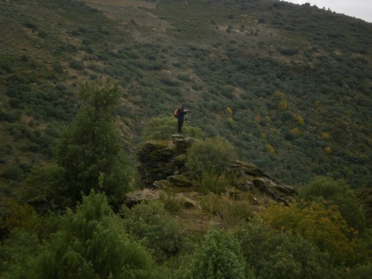 Img 1289146686 25