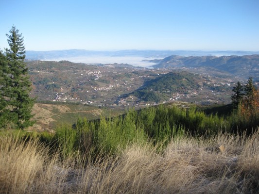 Img 1292919965 532