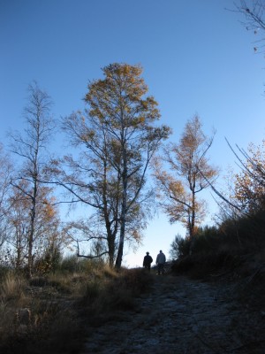 Img 1292919973 276