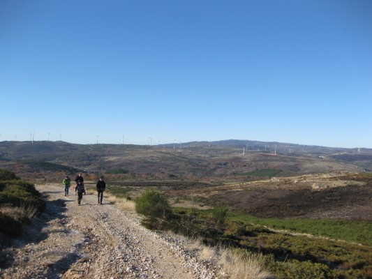 Img 1292920027 932