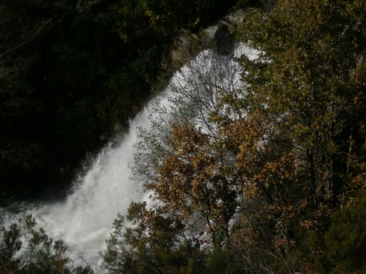 Img 1291327548 84