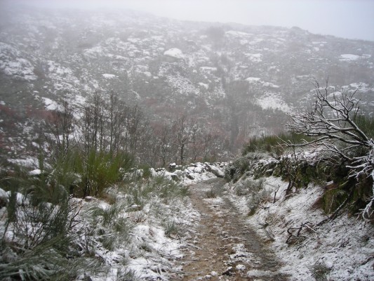 Img 1287388581 301