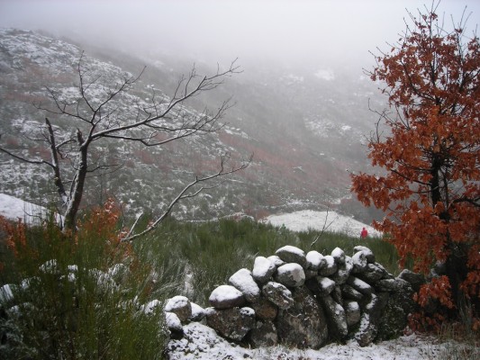 Img 1287388590 192