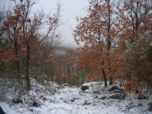 Img 1287388628 828